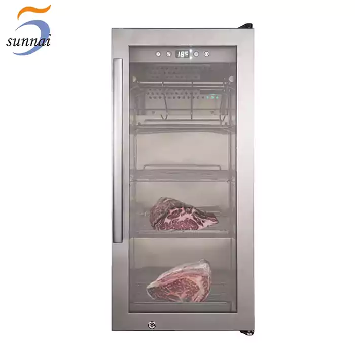 china manufacturer small 75l dry aging fridge