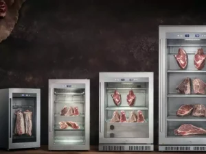 dry age fridge factory